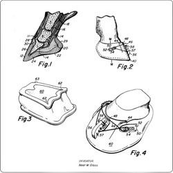 Neel Glass Patents